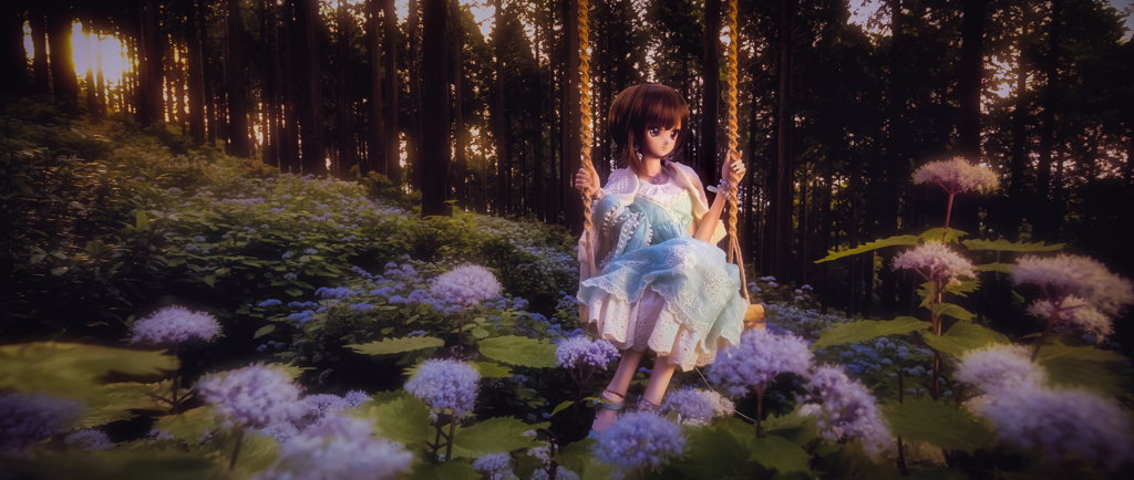 コアジサイの森
