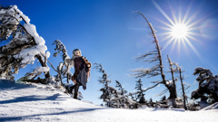 Winter Blue Sky