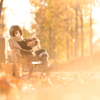Autumn light