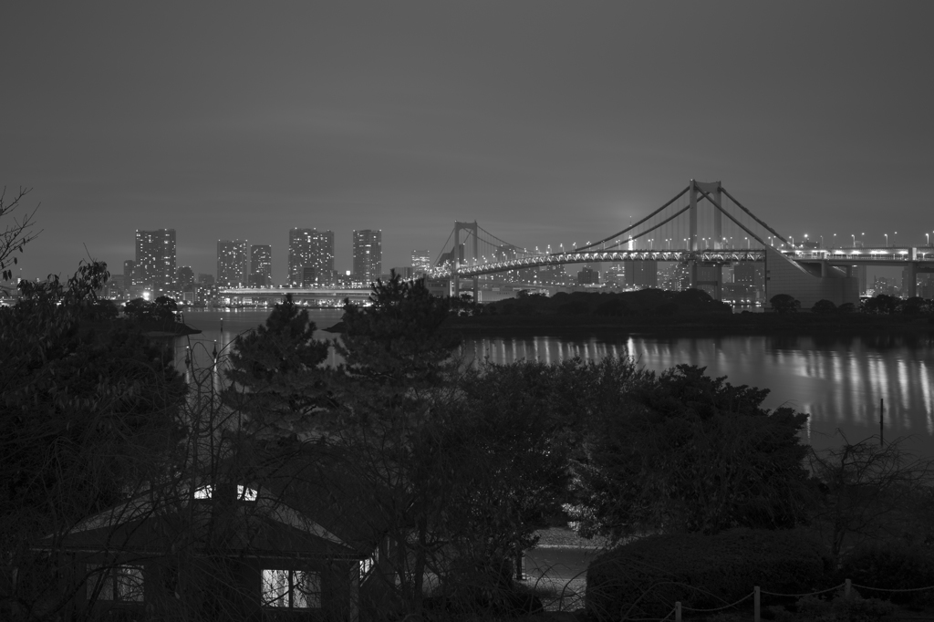 Midnight odaiba