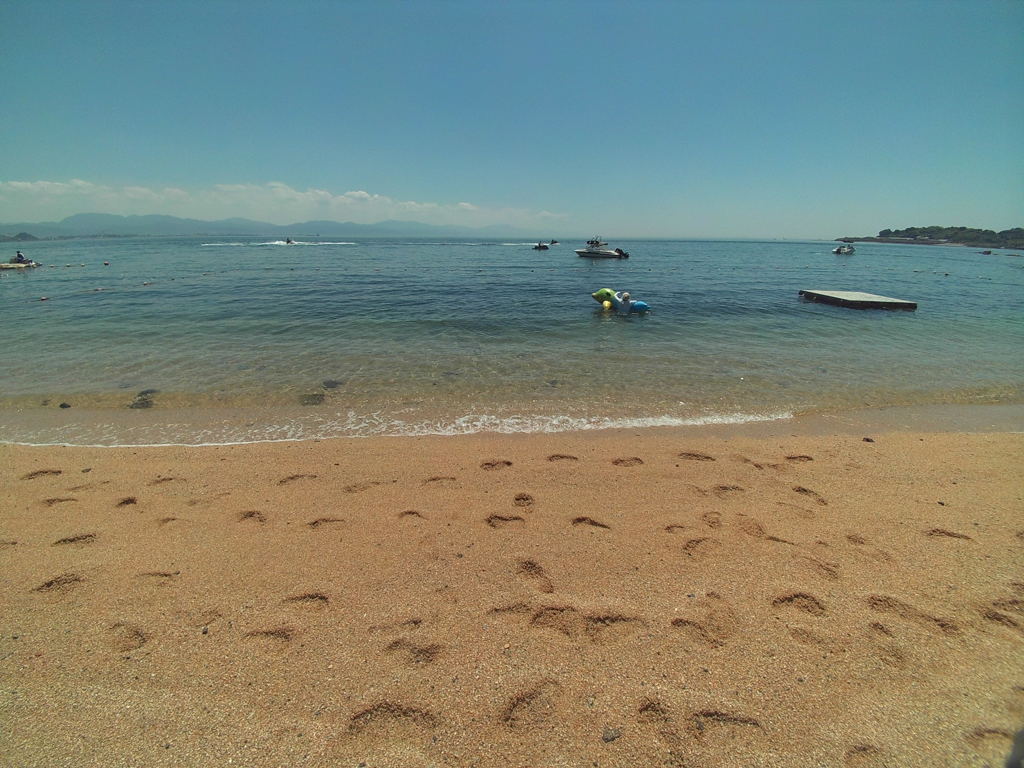 海