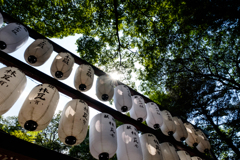 夏の神社