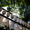 夏の神社