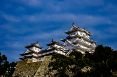 THE姫路城