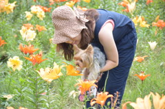 ユリの香り