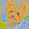 我が家の家族。