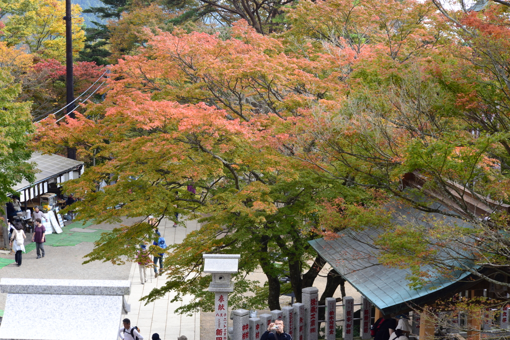 阿夫利神社