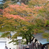 阿夫利神社