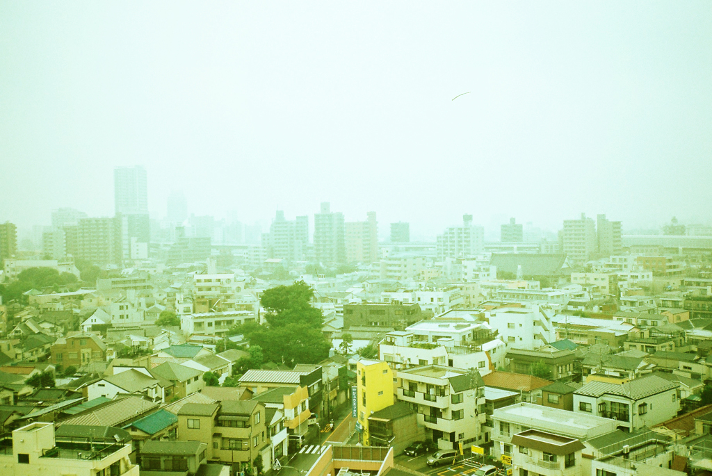 朝