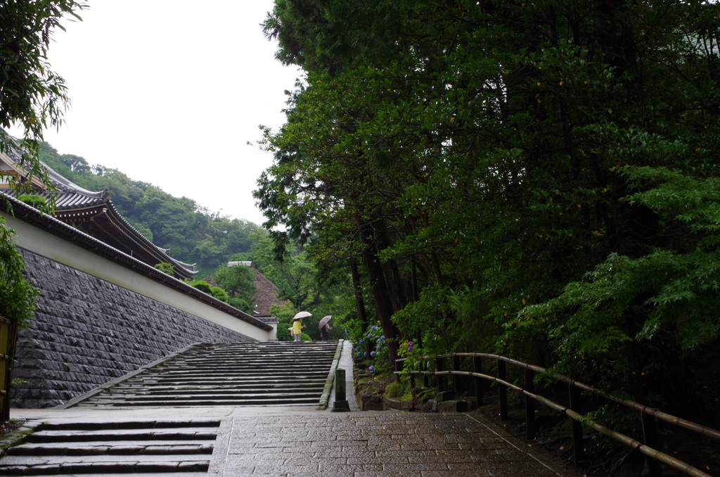雨、鎌倉