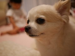 白