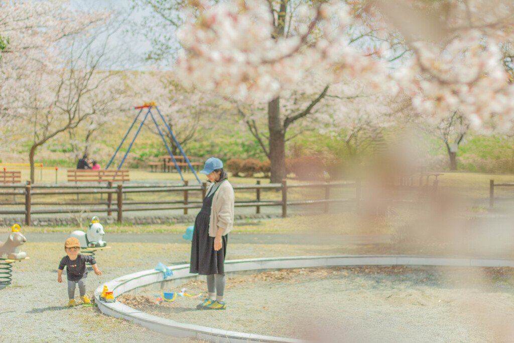 さくらの公園