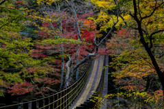 紅葉の吊り橋
