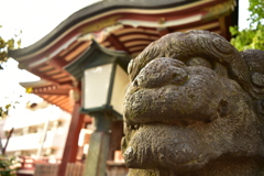 神社の顔