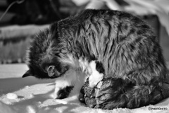 やっぱり足　冷たい