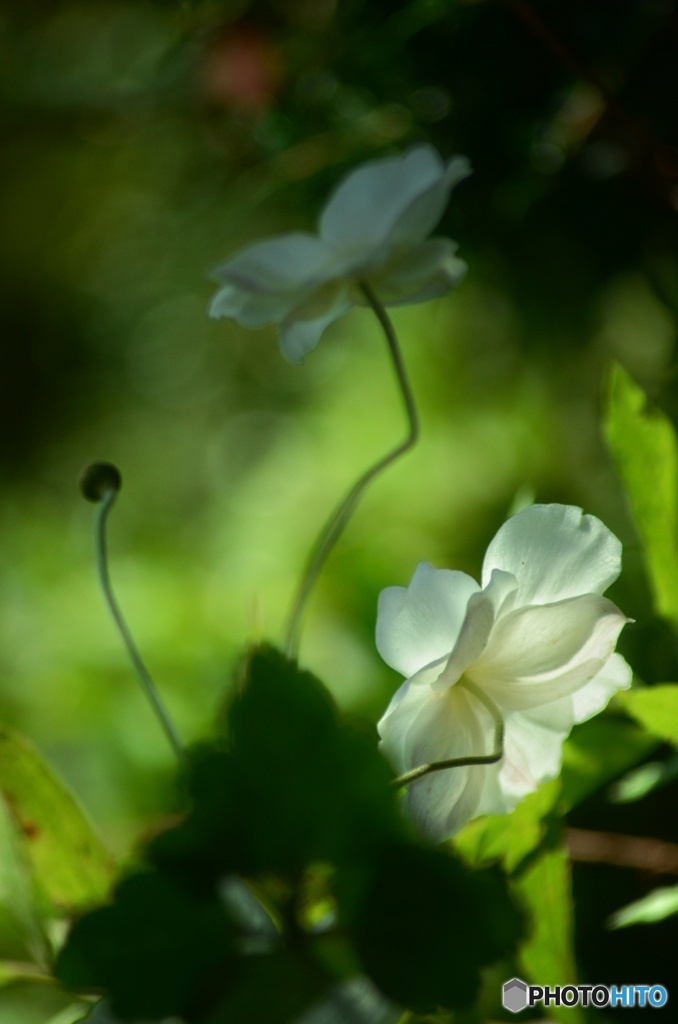 スポットライト