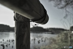 蜘蛛見っけ 蜘蛛見っけ