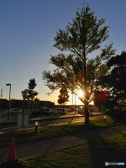 夕暮れ