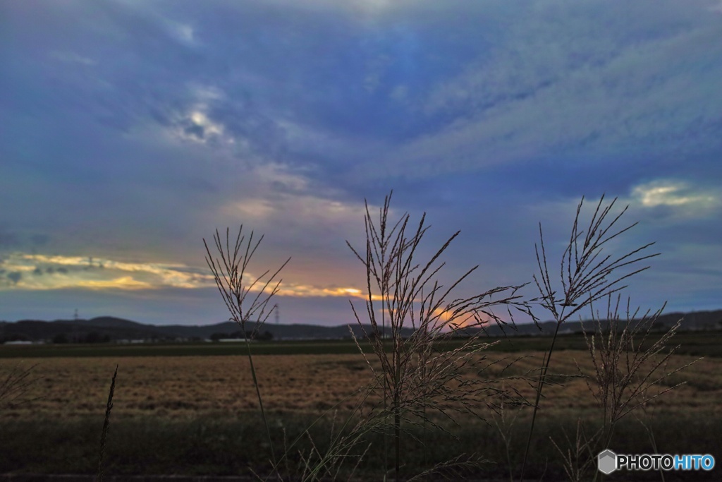 夕陽