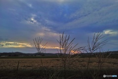 夕陽