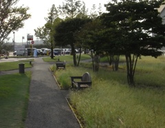 お気に入りのベンチ