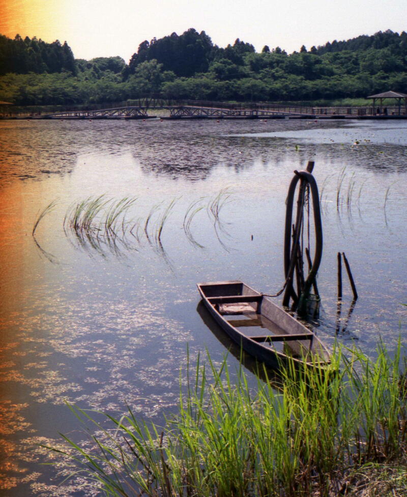 沼と船