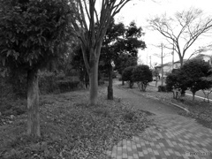 曲がりくねった道