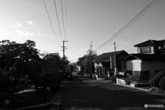 散歩道