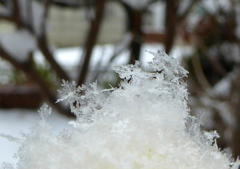 雪はこんな形