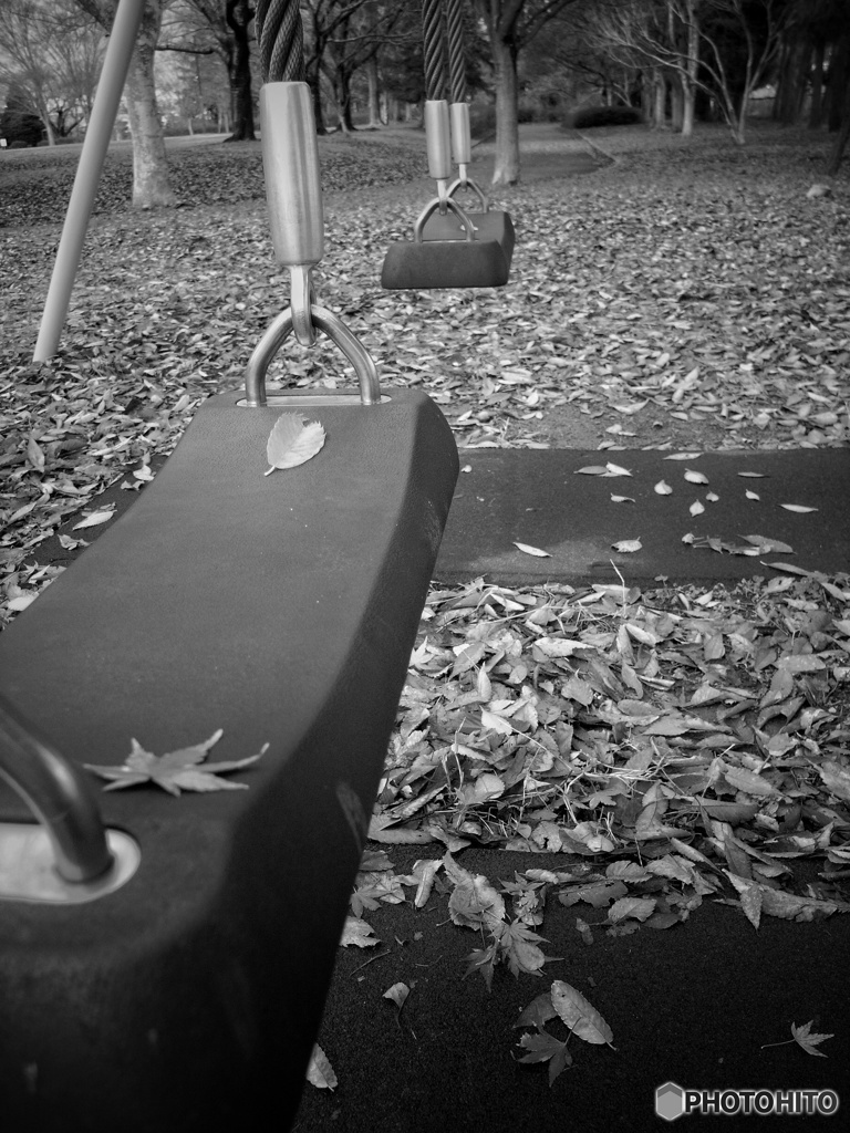 ブランコと落ち葉