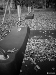 ブランコと落ち葉