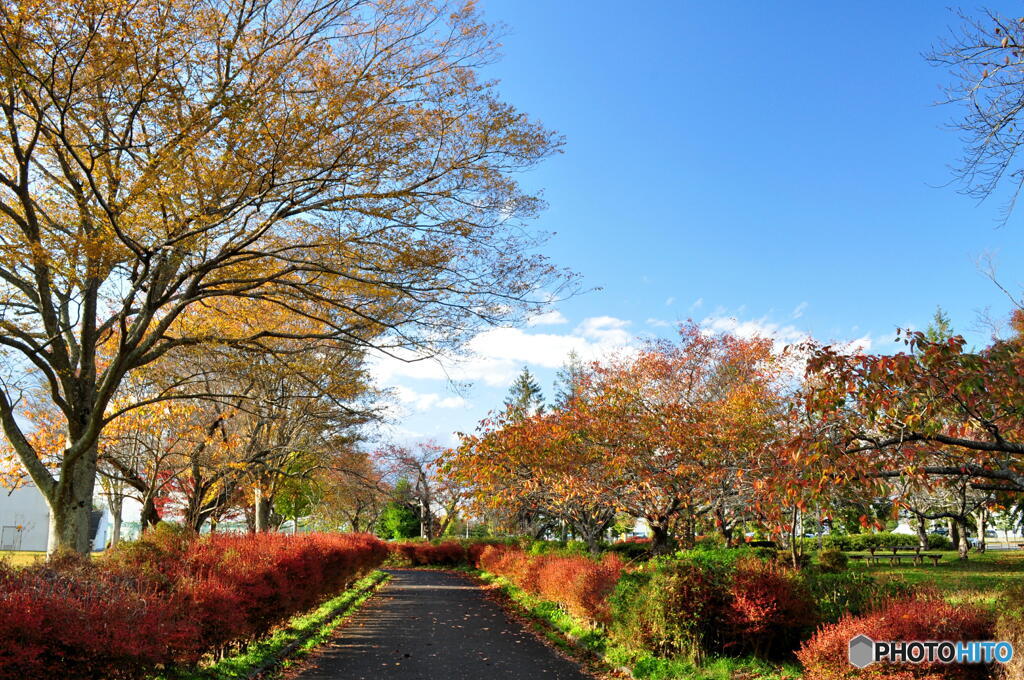 公園ぶらり散歩
