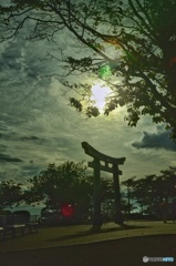 散歩道で