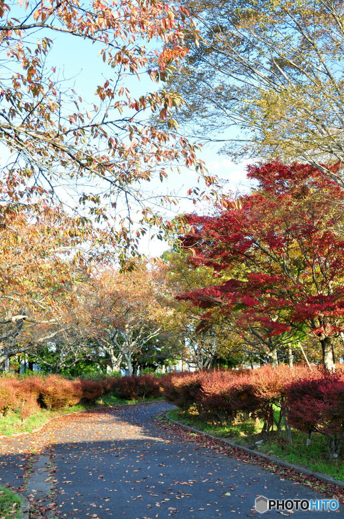 公園散歩