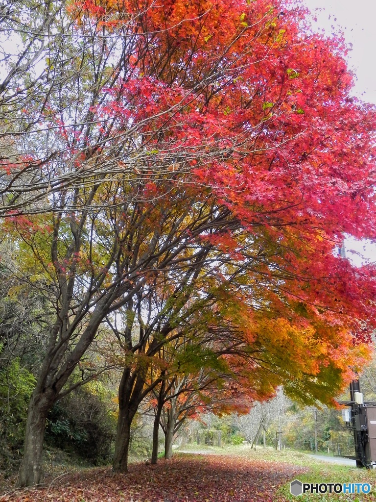 奥松島散歩♪♪