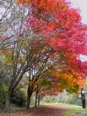 奥松島散歩♪♪