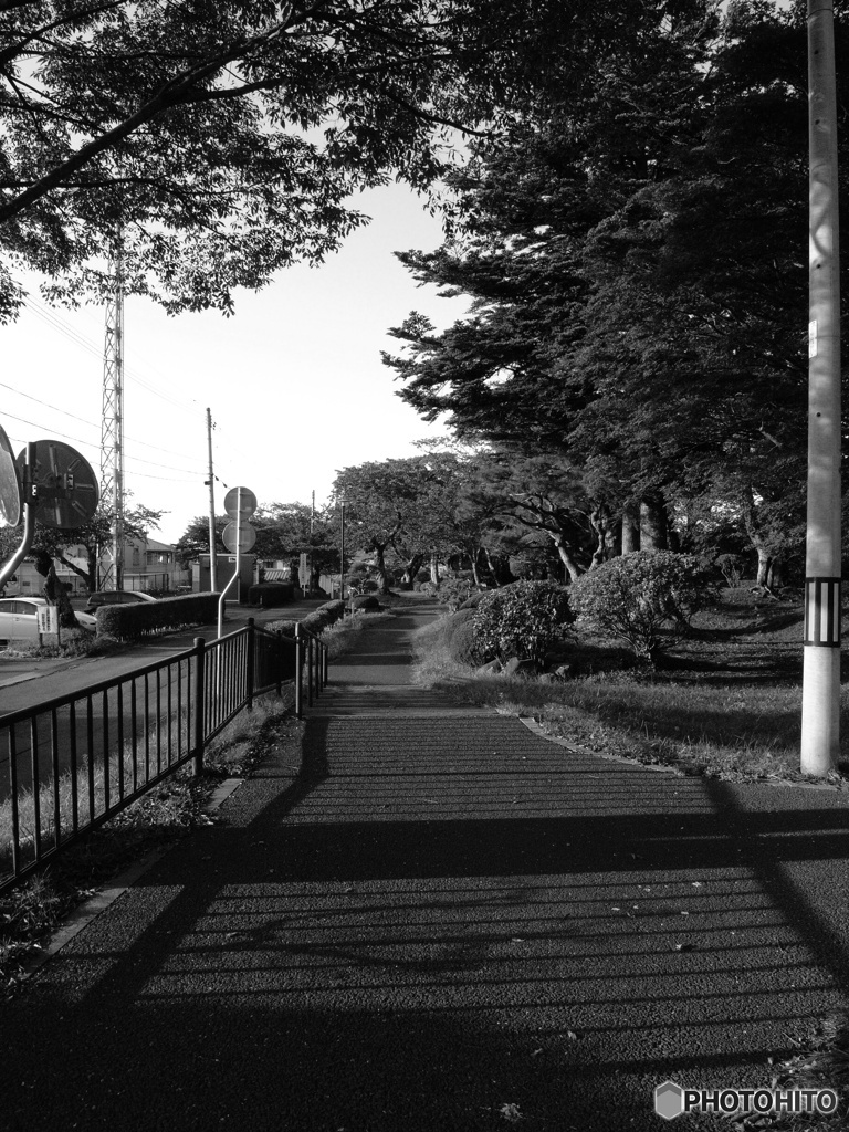 散歩道