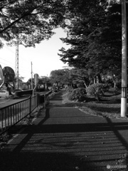 散歩道