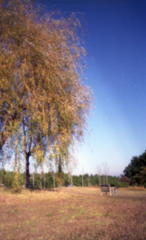 公園にて