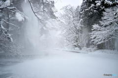 落ちる雪