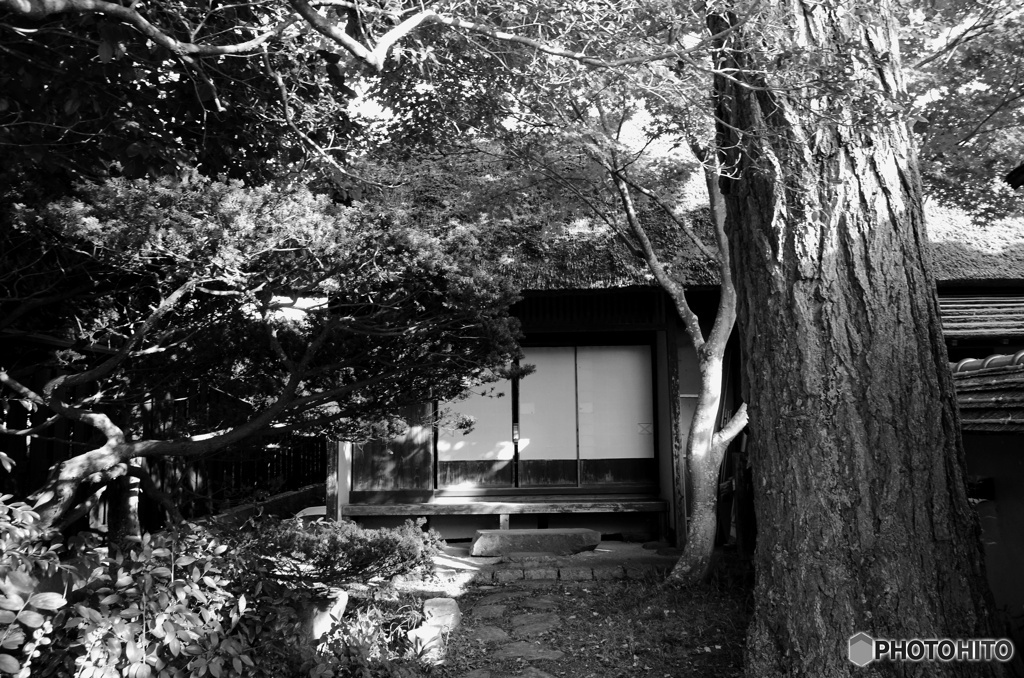 休憩処お茶屋さん