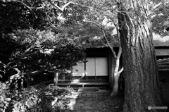 休憩処お茶屋さん