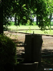 公園の水道
