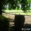 公園の水道