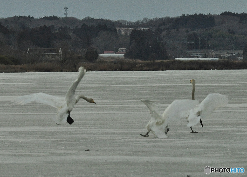 滑ってぶつかって転んだ