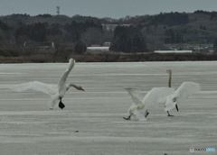 滑ってぶつかって転んだ