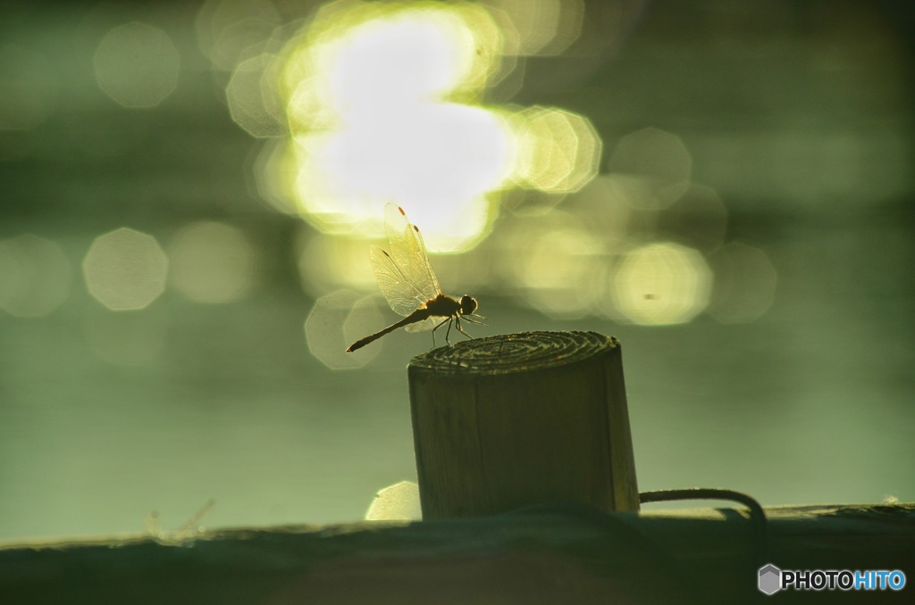 スポットライト