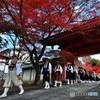 京師走の情景