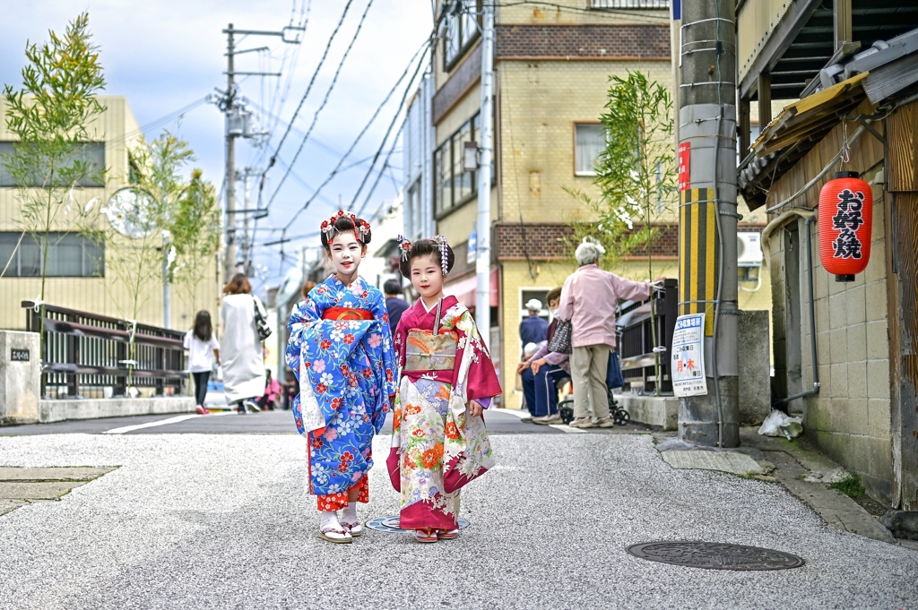 淡路の姫たち⋯