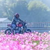 いつか何処かで…